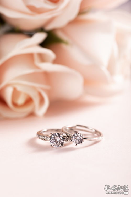 珠寶首飾的攝影藝術 捕捉閃耀瞬間的技巧